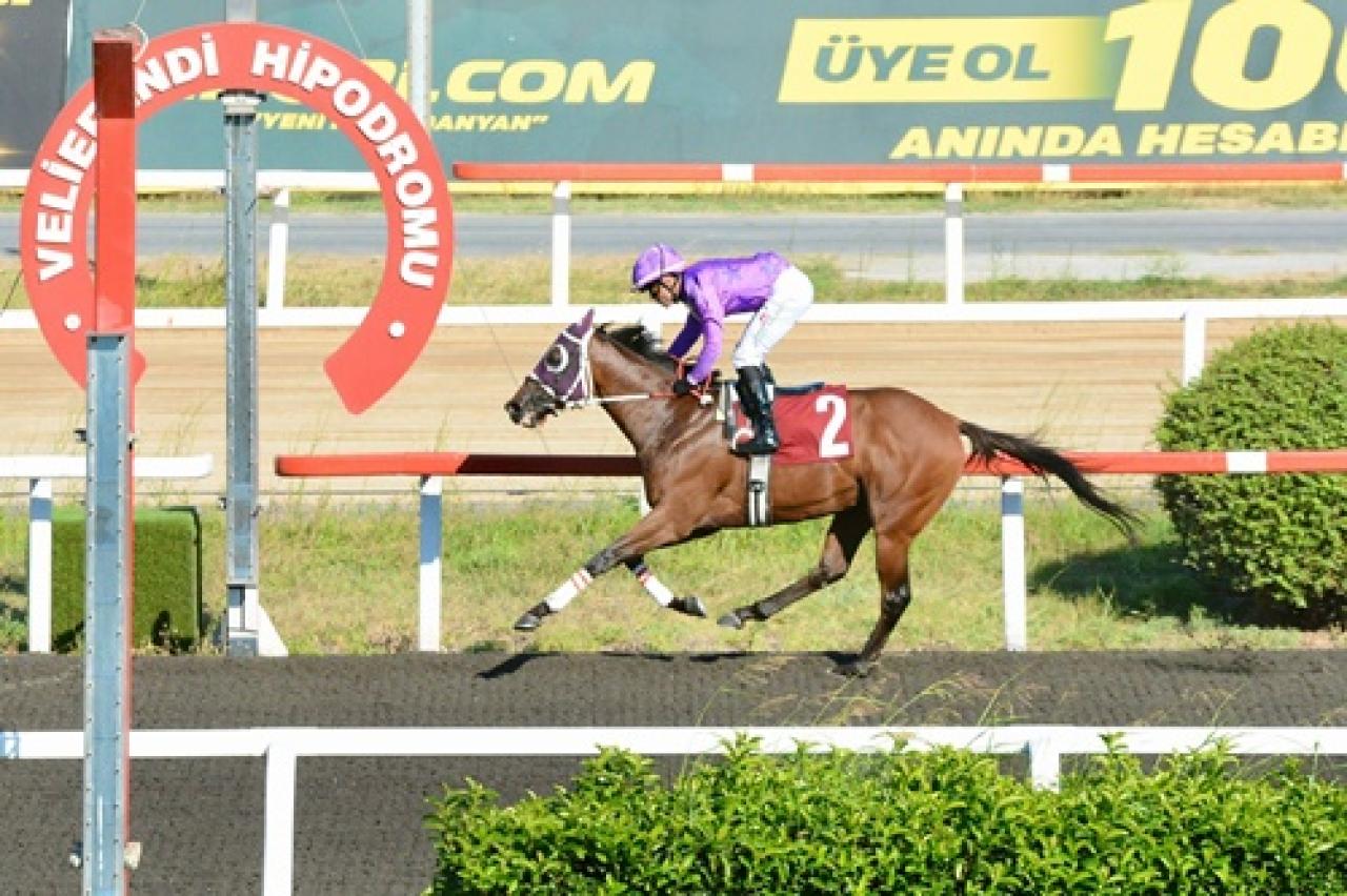 Sahil Güvenlik Komutanlığı (İstanbul) Koşusu'nda kazanan Bahrain oldu