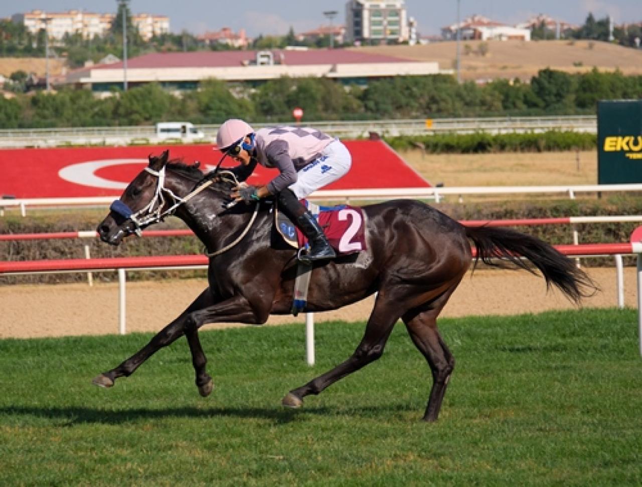 Yalçın Batur Koşusu’nu Battle For Glory kazandı