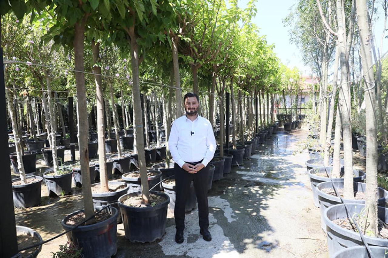 KAĞITHANE'YE 50 BİN AĞAÇ VE 1 MİLYON M2 YEŞİL ALAN KAZANDIRILDI