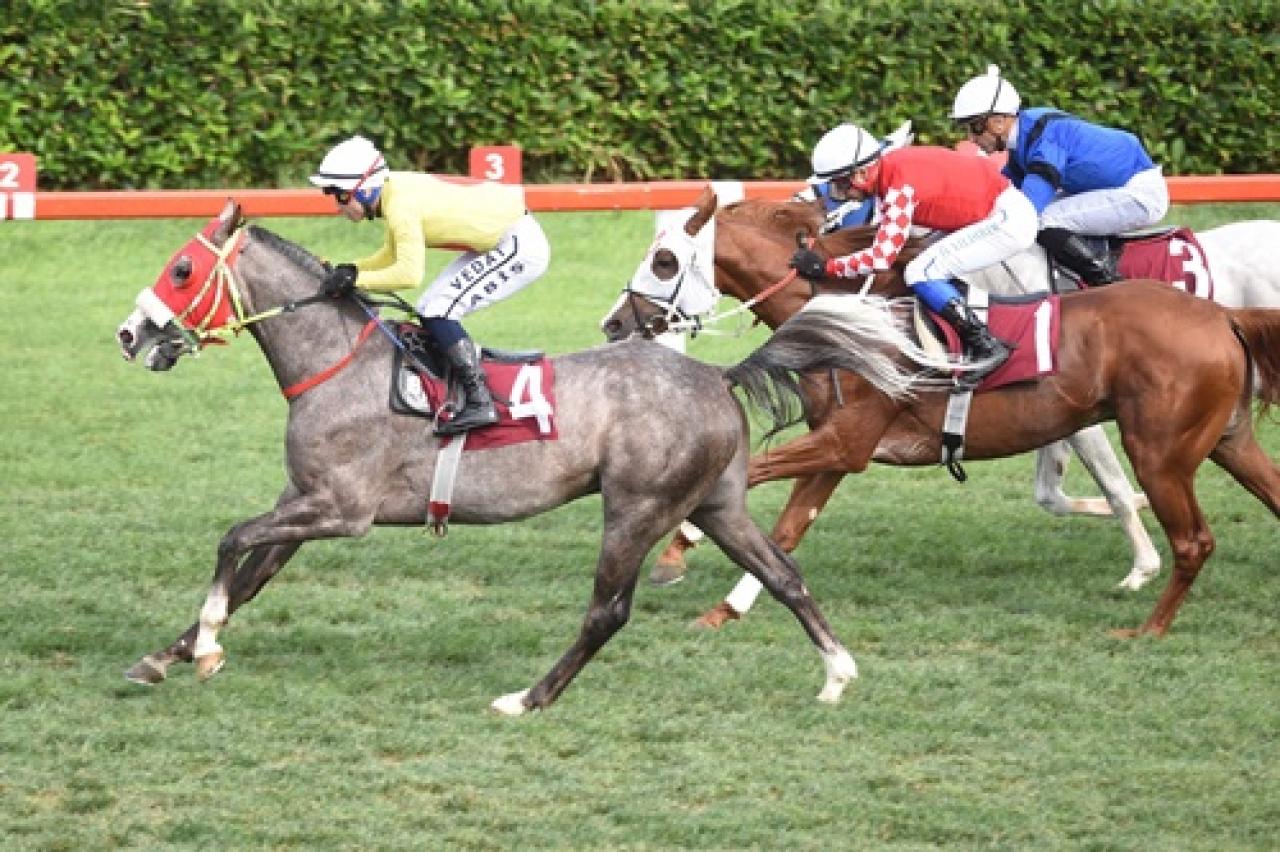 Süleyman Sırrı Turhan Koşusu'nda birinciliğe  Platform uzandı