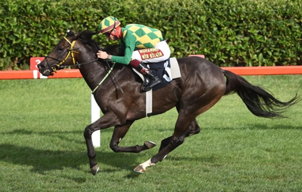 Silivri Belediyesi Koşusu’nda galibiyete ulaşan Balance Of Power oldu