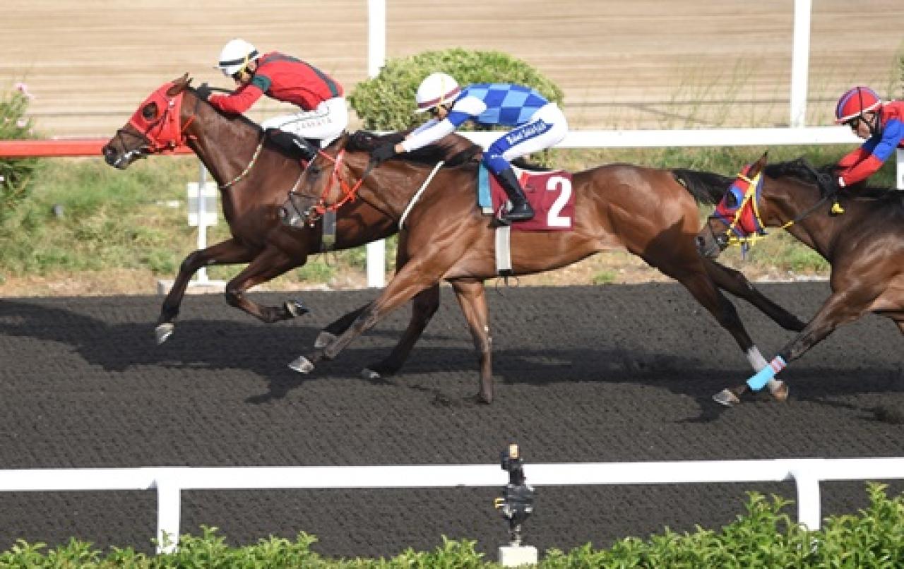 Zeki Sertol Koşusu'nu Know Worth kazandı