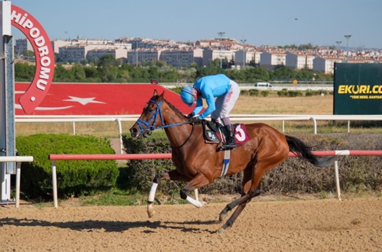 Nafiz Kurt Koşusu'nda birinciliğe Prenses Sylvester ulaştı