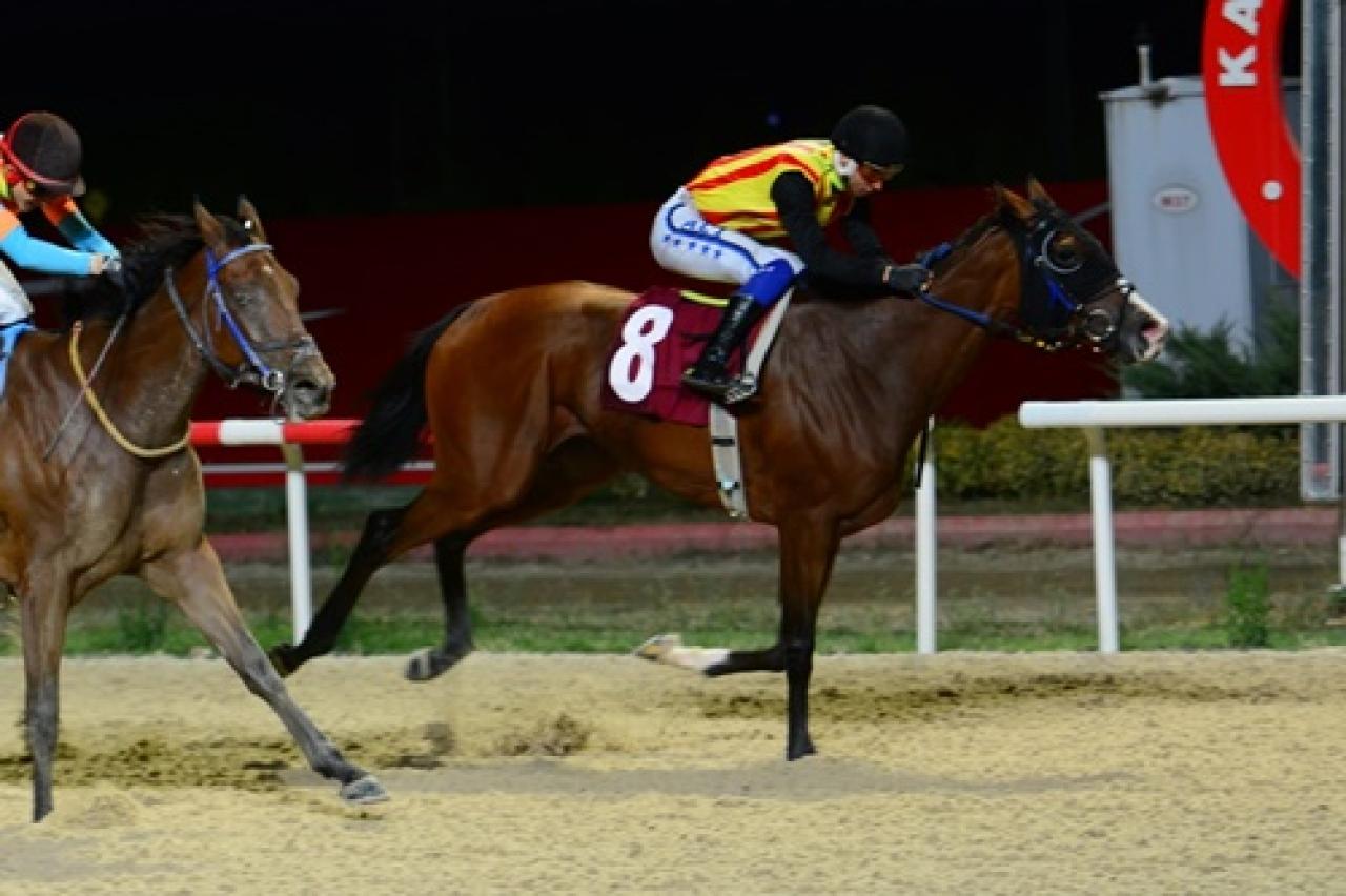 Kocaeli Veteriner Hekimler Odası Koşusu'nu Secret Mirror kazandı