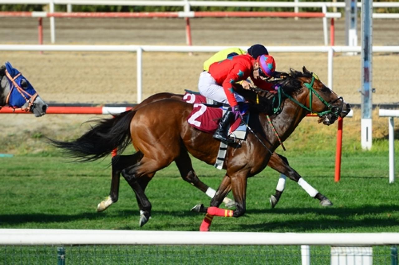 Behzat Ilgaz Koşusu'nda kazanan Father Mehmet