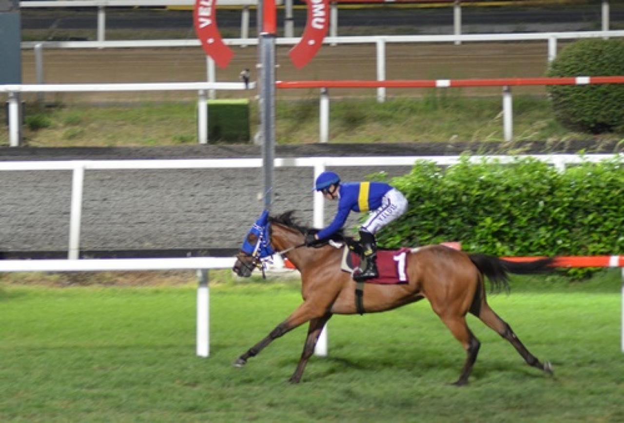 Edip Çizmeci Koşusu'nda kazanan Agatha oldu