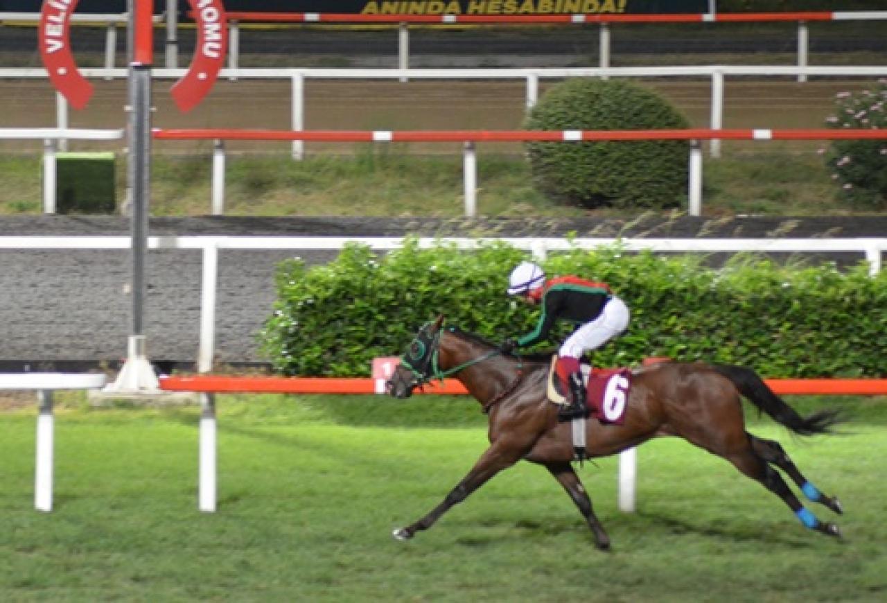 Utku Doğdu Koşusu'nu Deo Volente kazandı