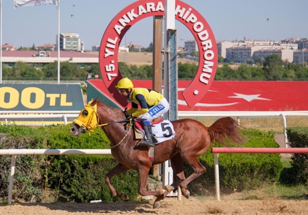 Sultansuyu Tarım İşletmesi Koşusu’nda zafere Kahramanoğlu ulaştı