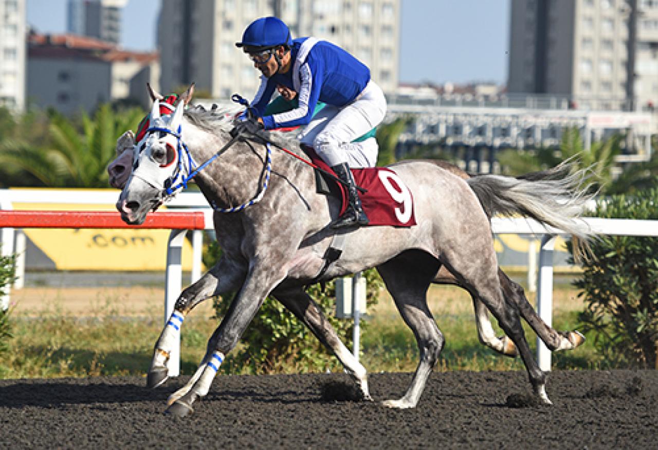 Prof. Dr. Sedat Katırcıoğlu Koşusu’nu Zeybek Yavuz kazandı