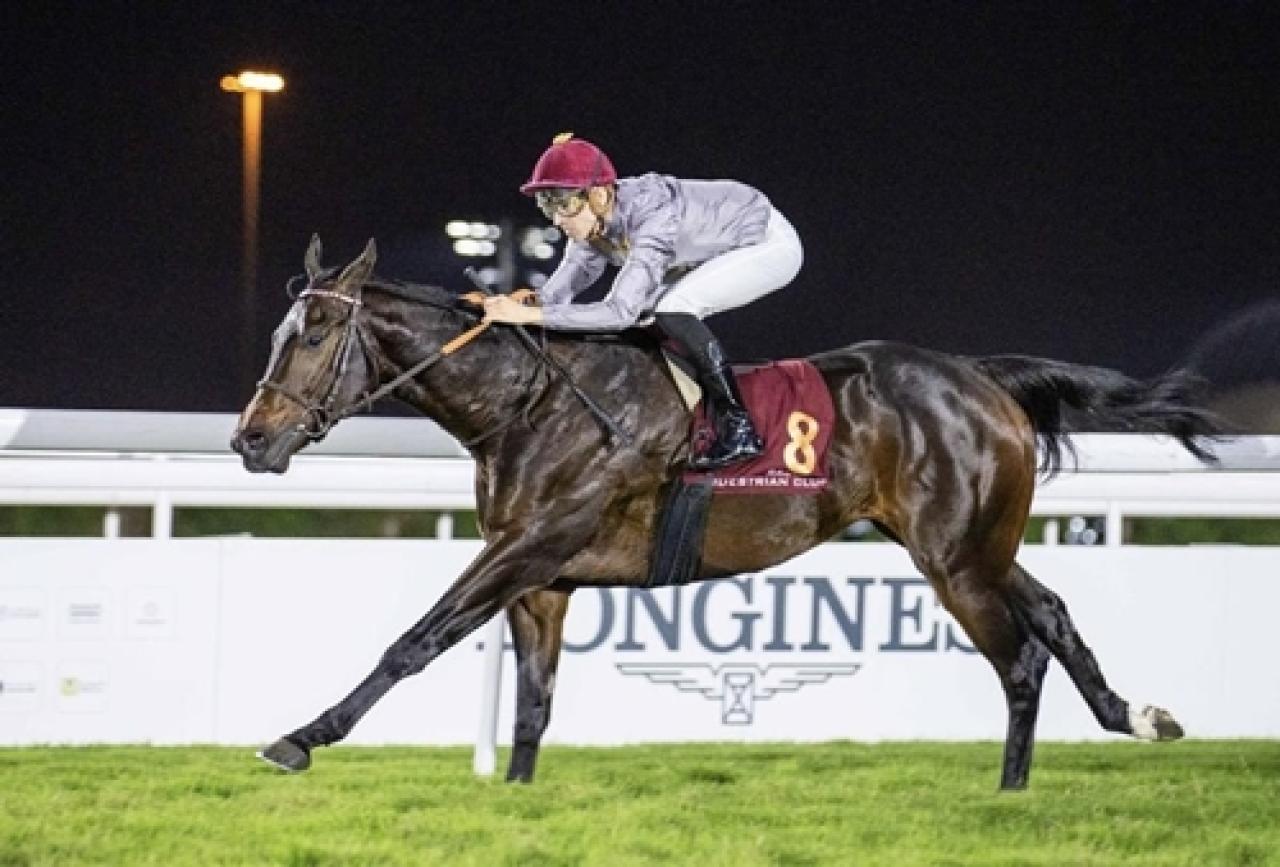 İstanbul Yarış Festivali’ne yurt dışından gelecek safkanları tanıyalım