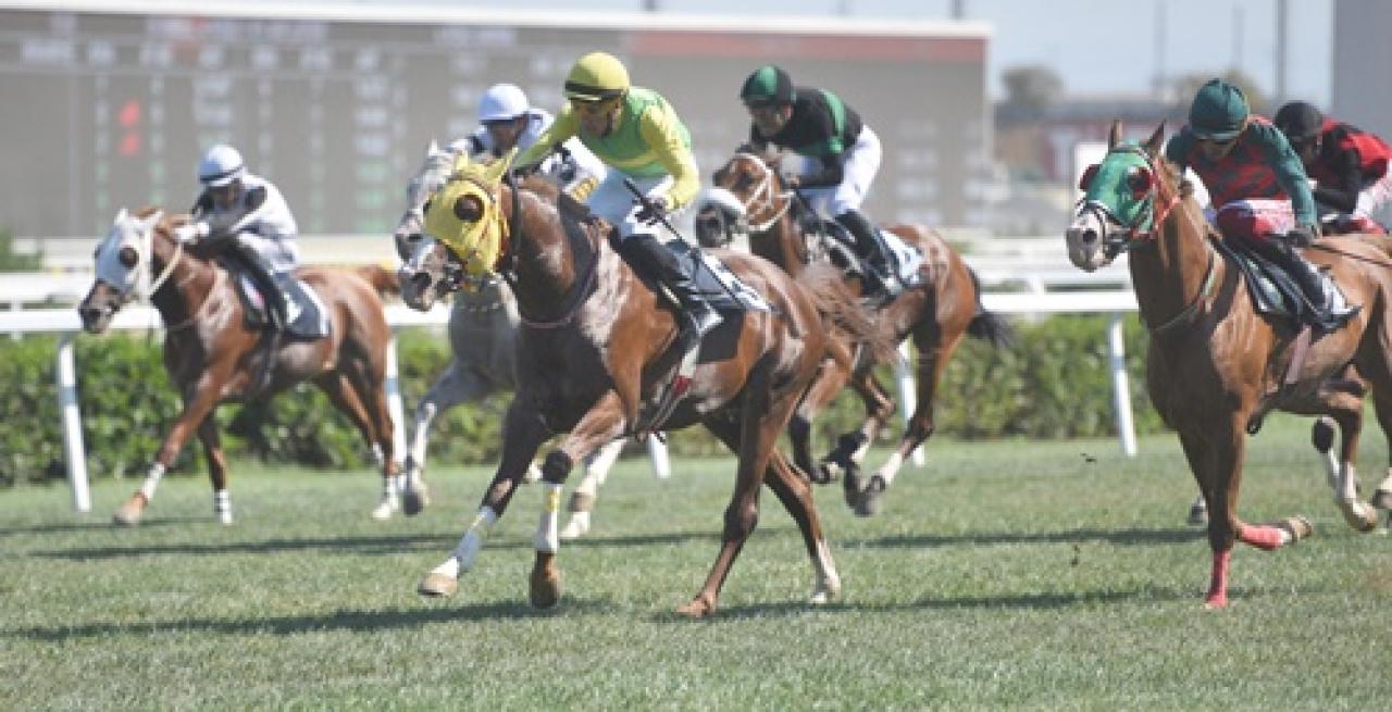 Omurilik Felçlileri Günü Koşusu'nu Invincible kazandı