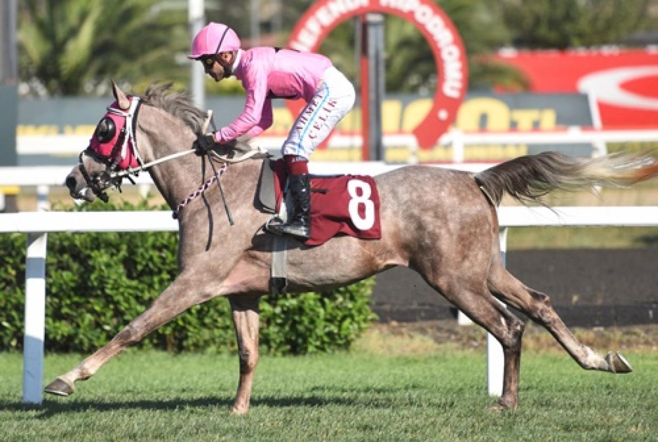 Hasan Polat Koşusu'nda birinciliğe Serhunefe uzandı