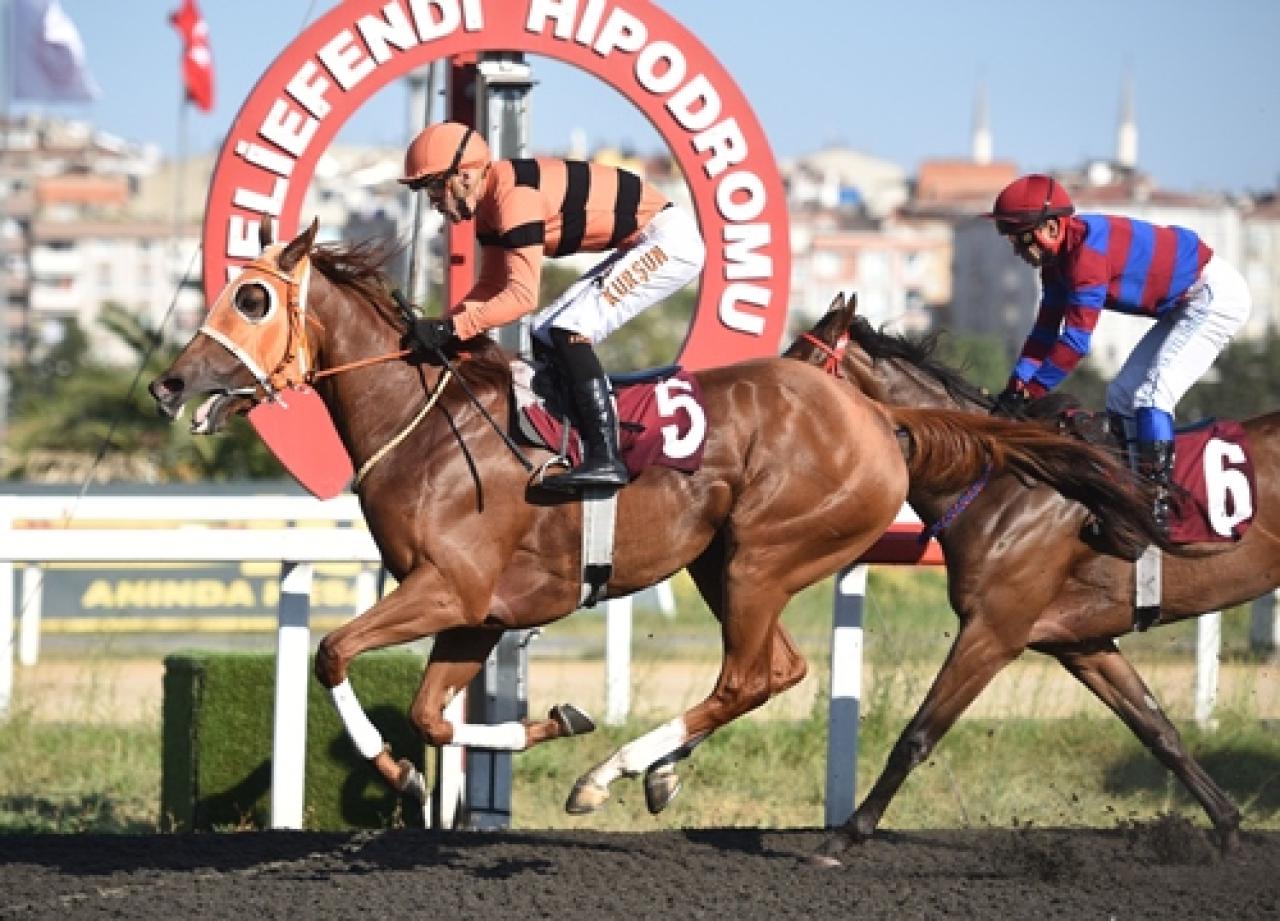 Serdar Kemal Özçolak Koşusu’nda kazanan Shinny oldu
