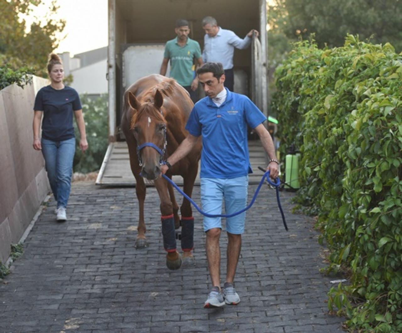 Misafir safkanlar Veliefendi Hipodromu’na geldi