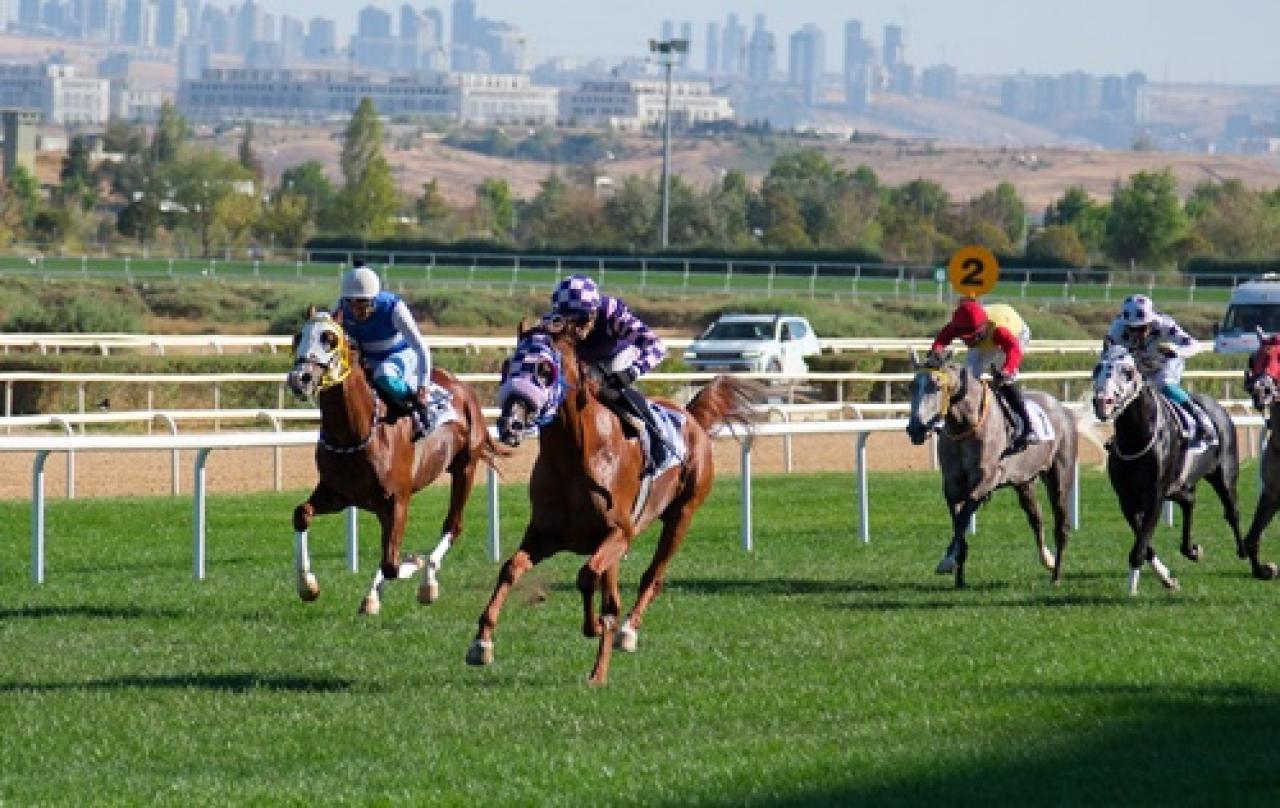 TİGEM Koşusu'nda birinciliğe Kayıpsız uzandı