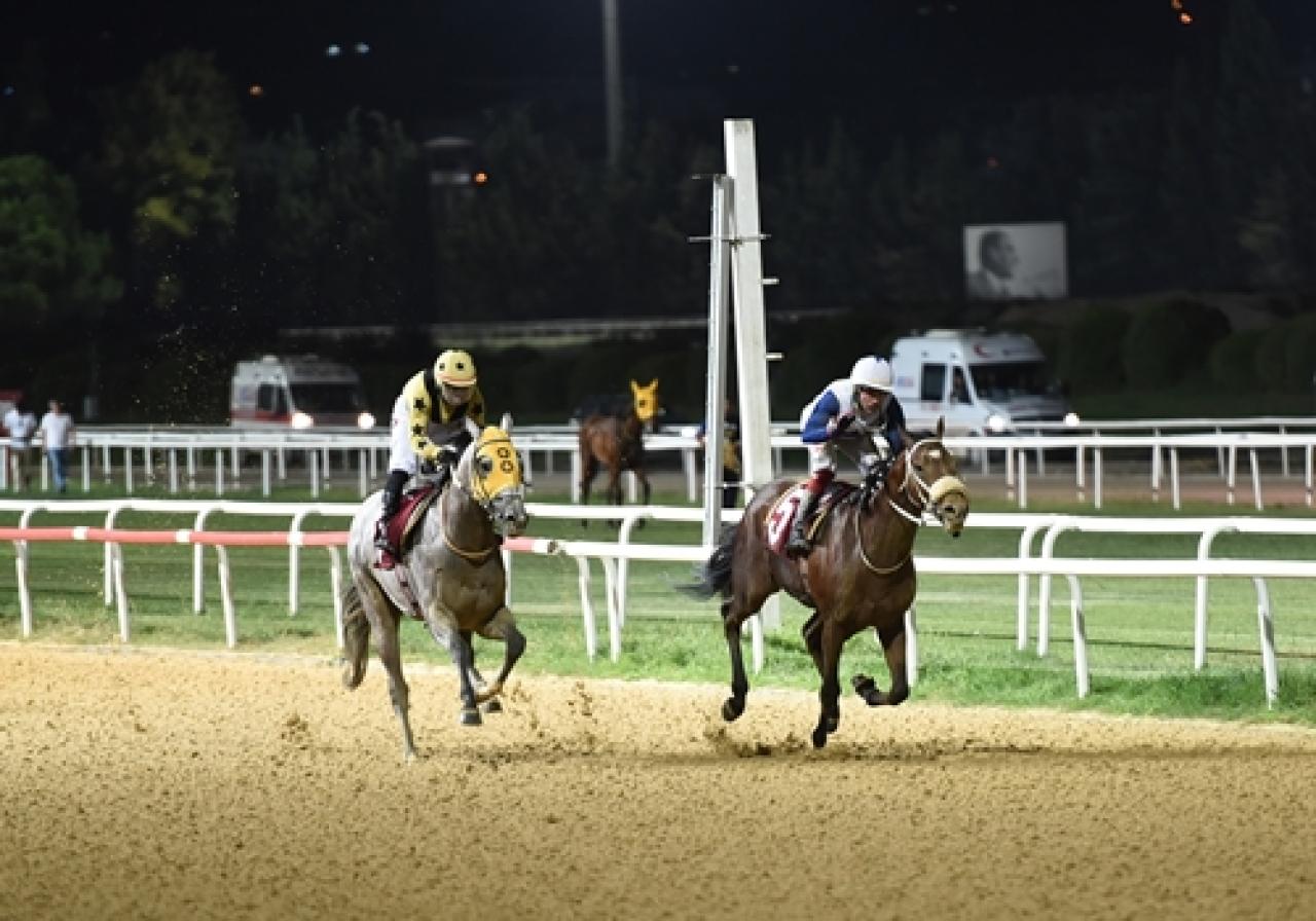 Aydın Adnan Menderes Üniversitesi Veteriner Fakültesi Koşusu’nu High Way King kazandı