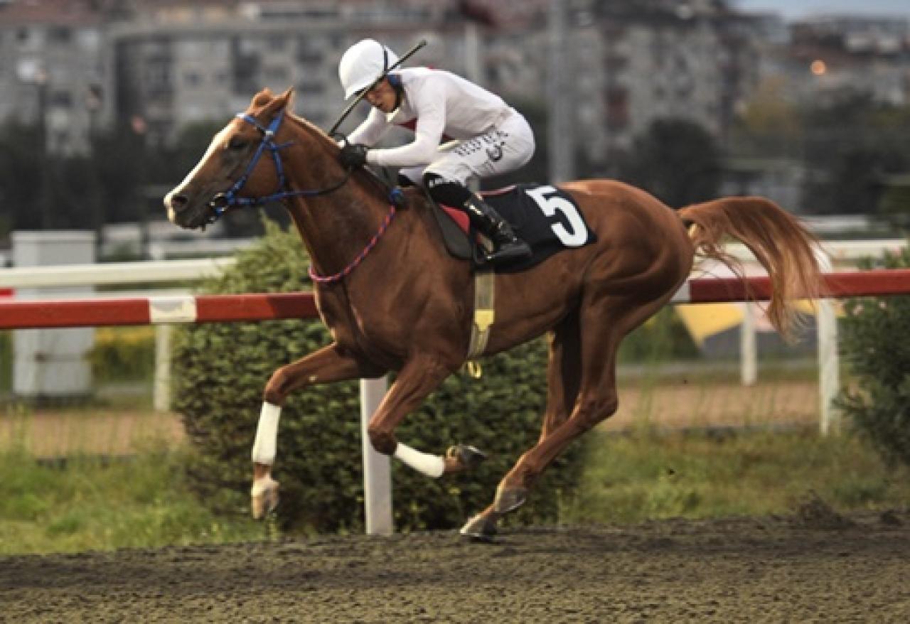 Bi'Talih Koşusu'nu Ufkun Ötesi kazandı