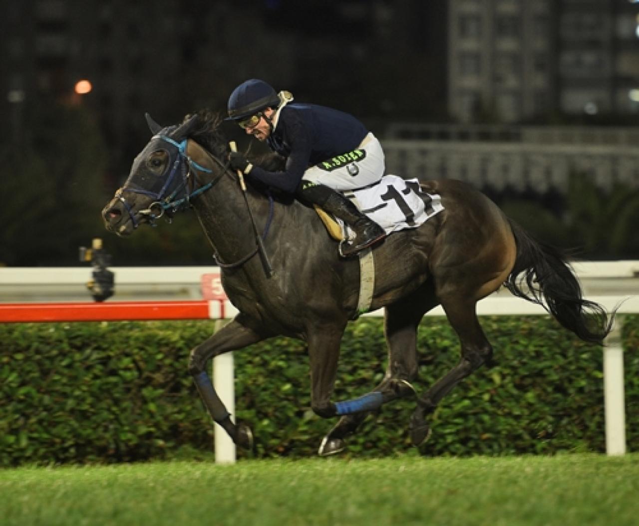 Uluslararası İstanbul Koşusu’nda zafere Beauty Of Darkness ulaştı