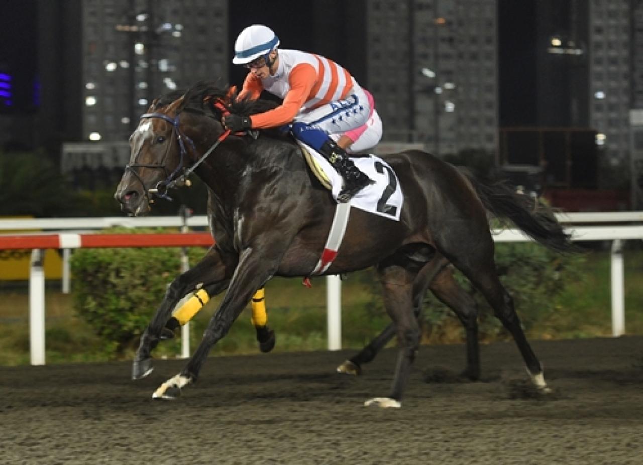 Uluslararası France Galop Anadolu Koşusu’nda galibiyete uzanan Captain Fantastic oldu