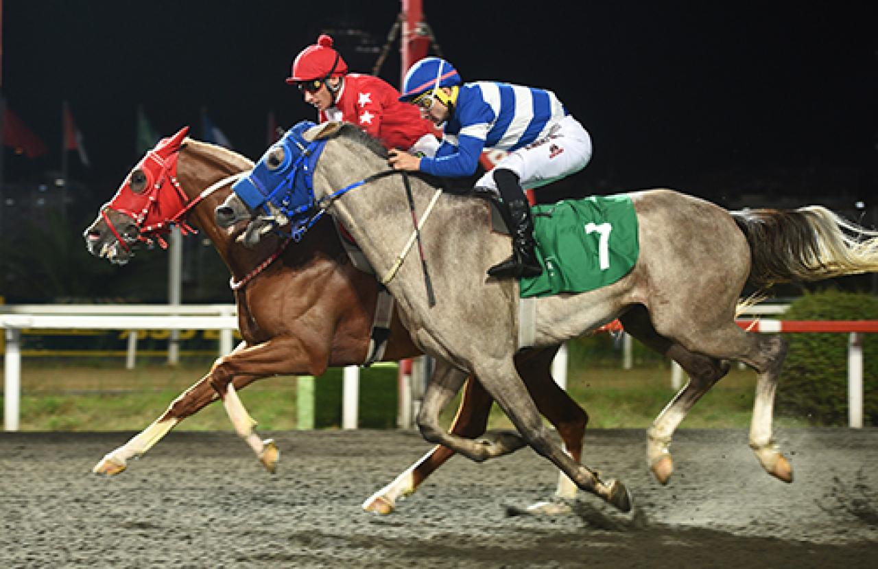 Uluslararası IFAHR Koşusu’nda kazanan O Bir Çelik oldu