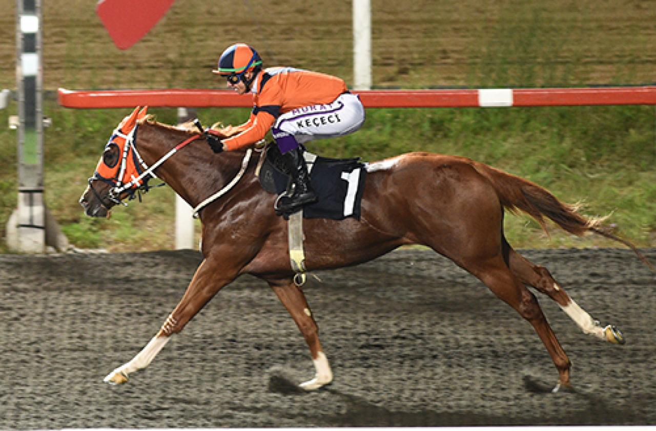 Horse Racing Ireland Koşusu’nda galibiyetin adı Farewell Kiss