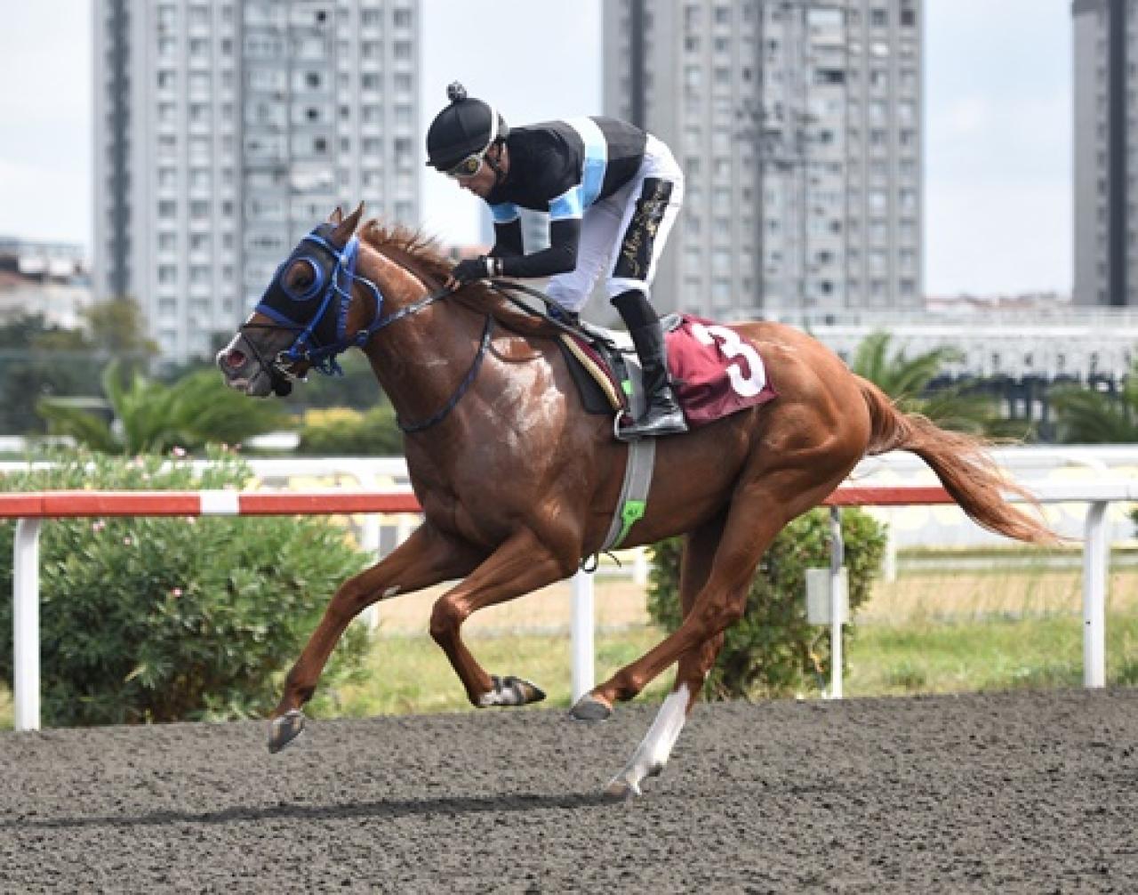 Eküri.com Koşusu’nu Magic Selectra kazandı