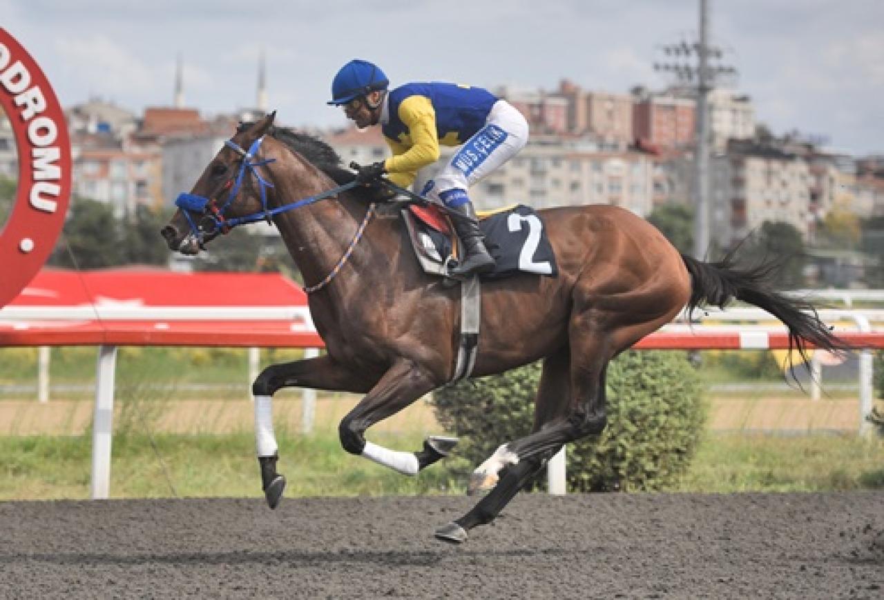 Altılıganyan.com Koşusu’nu Viking kazandı