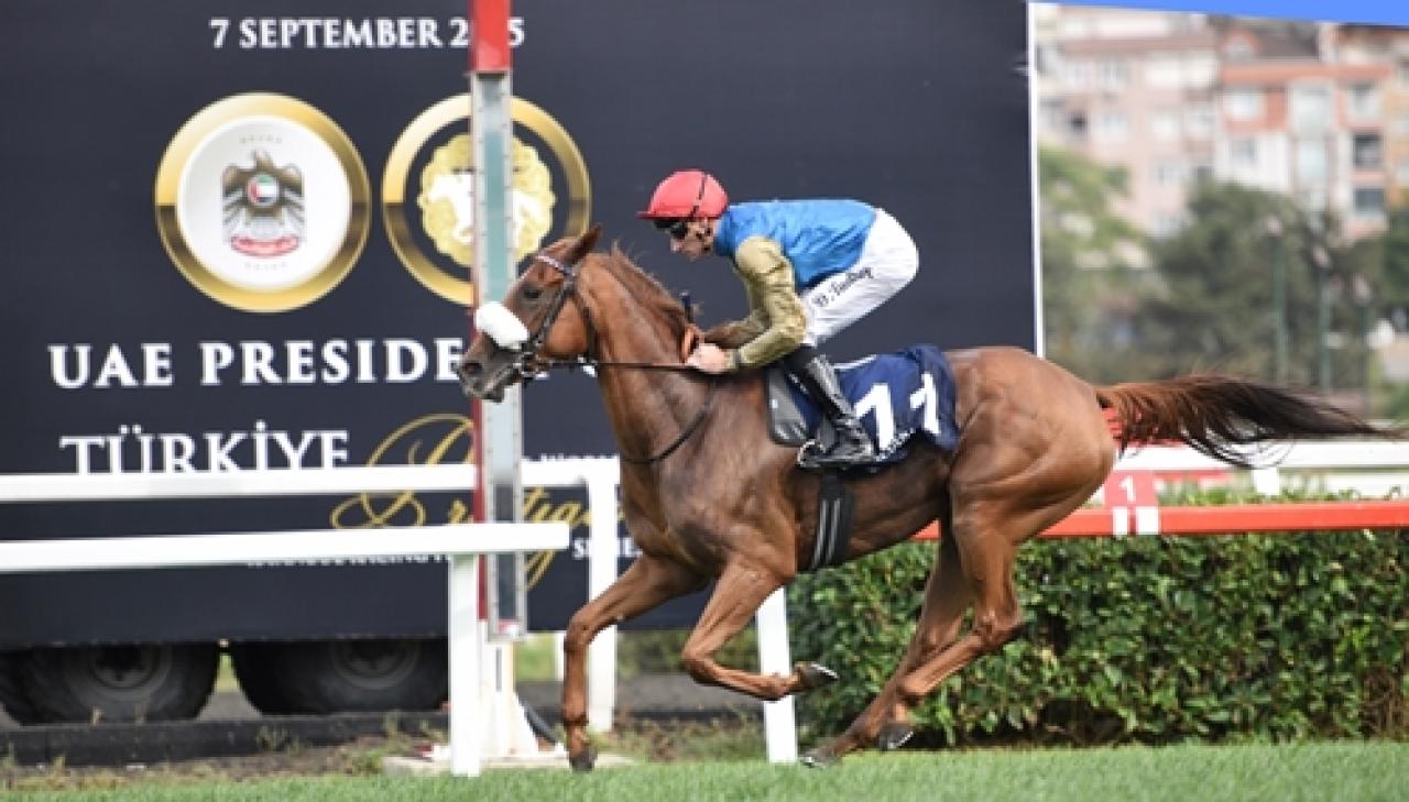 Uluslararası UAE President Cup Series Malazgirt Koşusu’nda galibiyete RB Mary Lylah uzandı