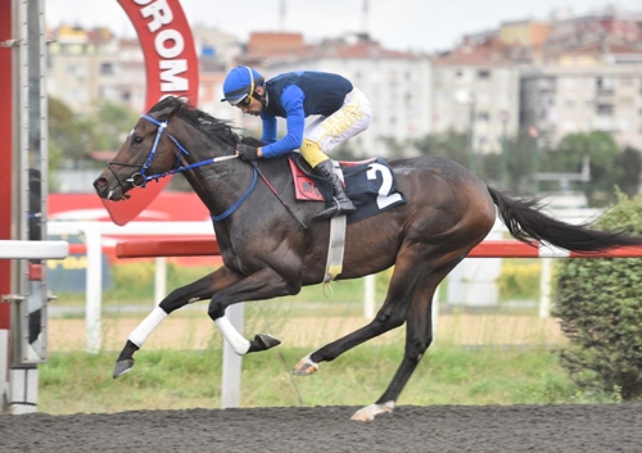 Güney Amerika Safkan İngiliz Atı Organizasyonu OSAF Koşusu’nu Power Of Hakeem kazandı