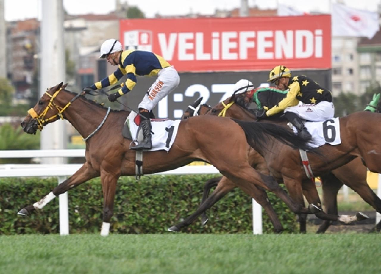 Uluslararası Kraliçe II. Elizabeth Koşusu’nda kazanan Brando