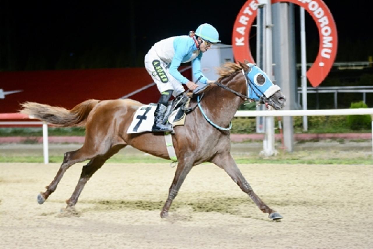 Kocaeli Vali Koşusu’nu Kozmos kazandı