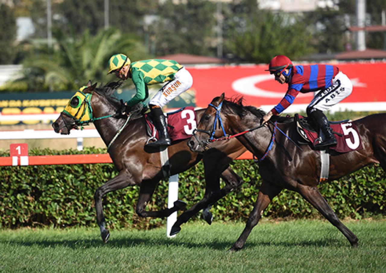 Dr. Ender Aydıner Koşusu’nda galibiyete ulaşan Magic Weapon oldu