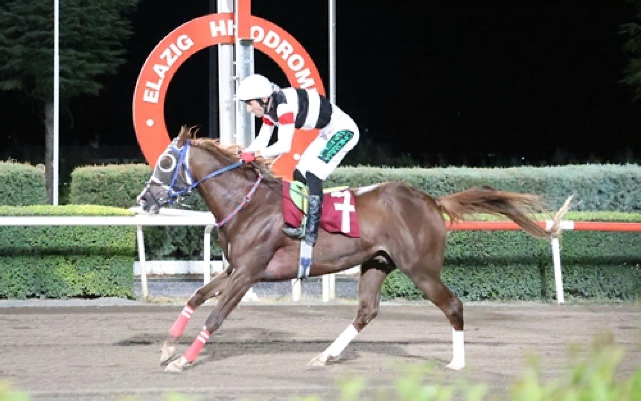 Bi’Talih Koşusu’nu Zafere Gel kazandı