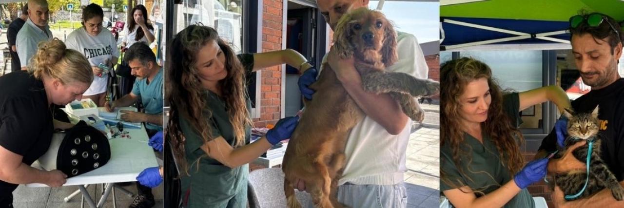 SARIYER’DE ÜCRETSİZ KUDUZ AŞISI KAMPANYASI BAŞLADI