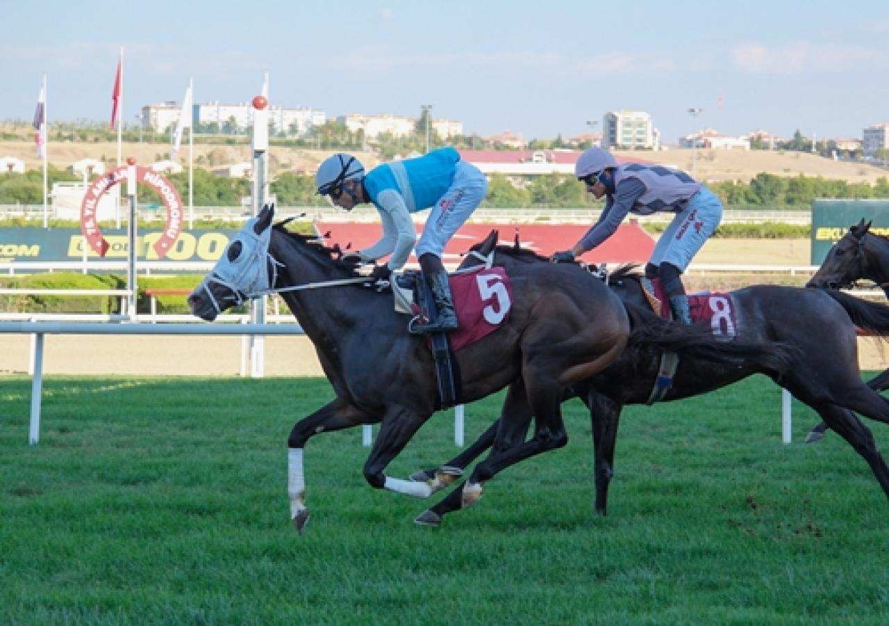İçişleri Bakanlığı Koşusu’nu Tulumar kazandı