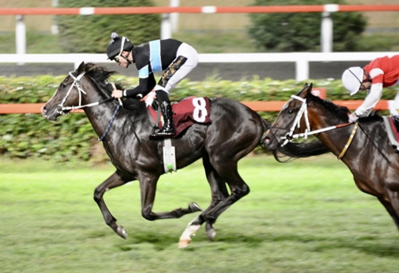 Joe Clarke Koşusu’nda galibiyet Mucho Bueno’nun oldu