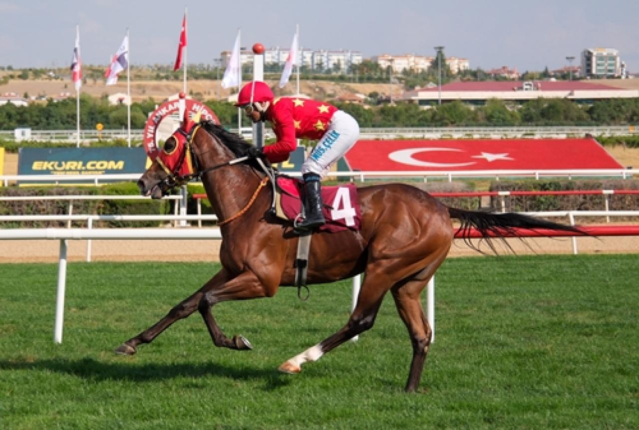 Sir Percy Loraine Koşusu’nu Dragon Force kazandı