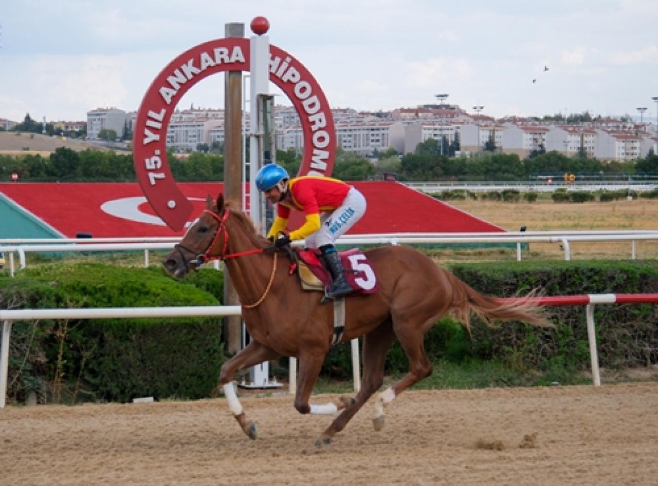 Şerife Bacı Koşusu’nda kazanan Syntagma oldu