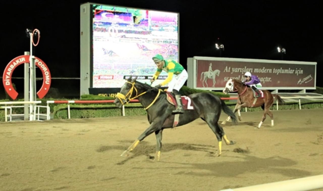 Bismil Kaymakamlığı Koşusu’nda birinciliğe Hollow Man uzandı