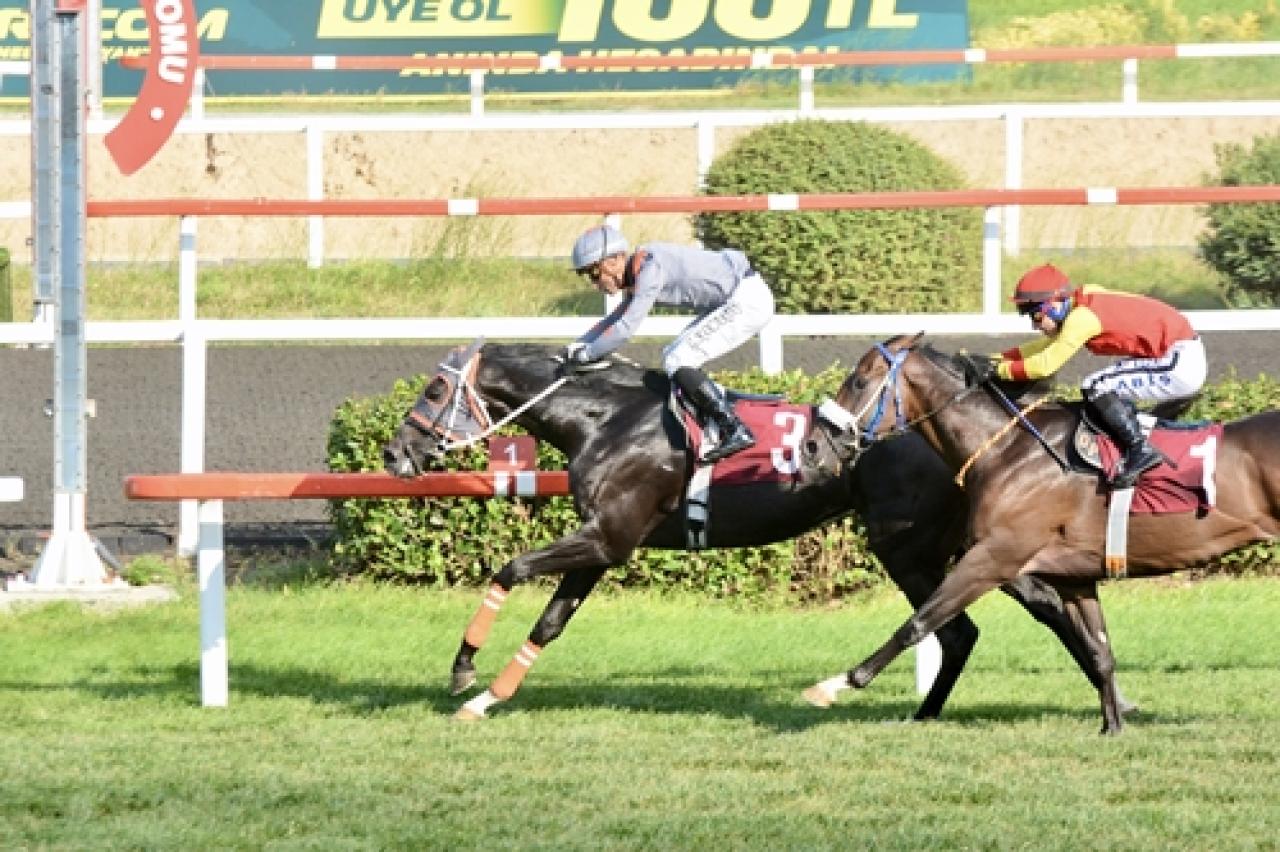 M. Kaya Erkkul Koşusu’nda galibiyet Asmar Dubai’nin oldu