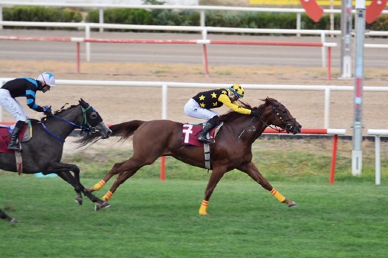 Uludağ Üniversitesi 50. Yıl Koşusu’nda galibiyete Thinder Of Shine uzandı