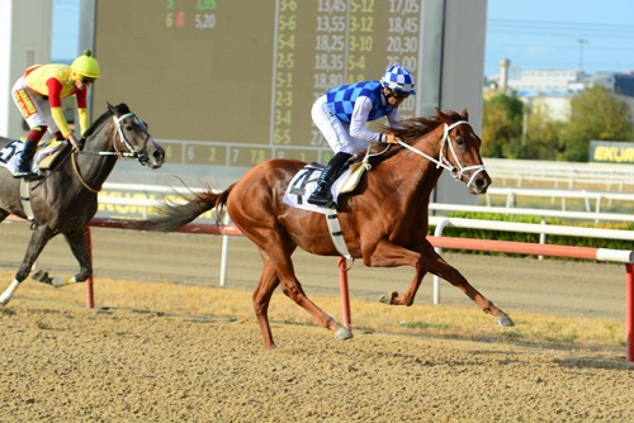 Bursa Büyükşehir Belediye Başkanlığı Koşusu’nu Tejon Melero kazandı