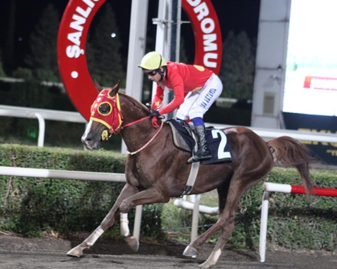 Bi’Talih Koşusu’nu Son Yağız kazandı