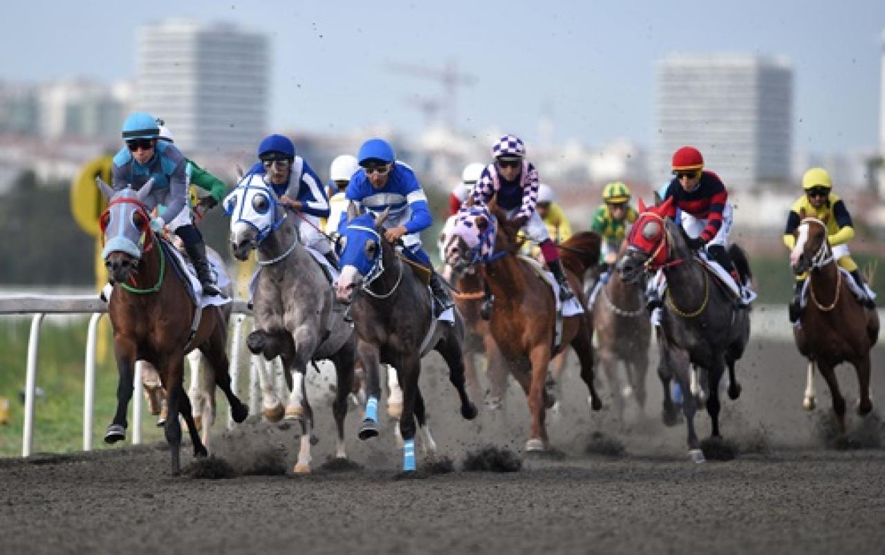 Mohaç Koşusu'nda birinciliğe Özmen Bey uzandı