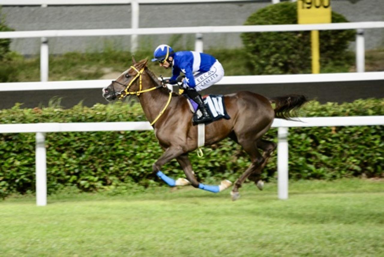 Aydın Tat Koşusu’nu Mürekkep Yürek kazandı