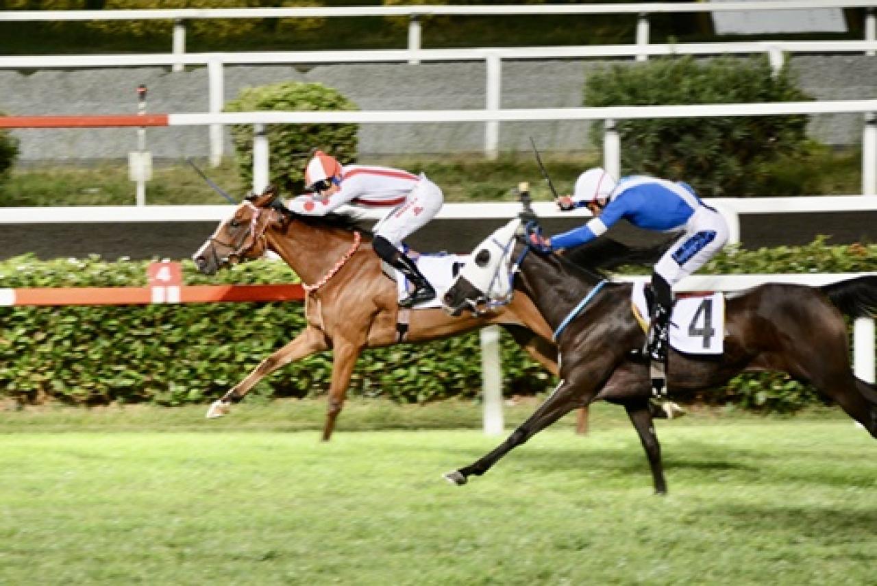 Cahide Koşusu'nda birinciliğe Keskin Kuş uzandı