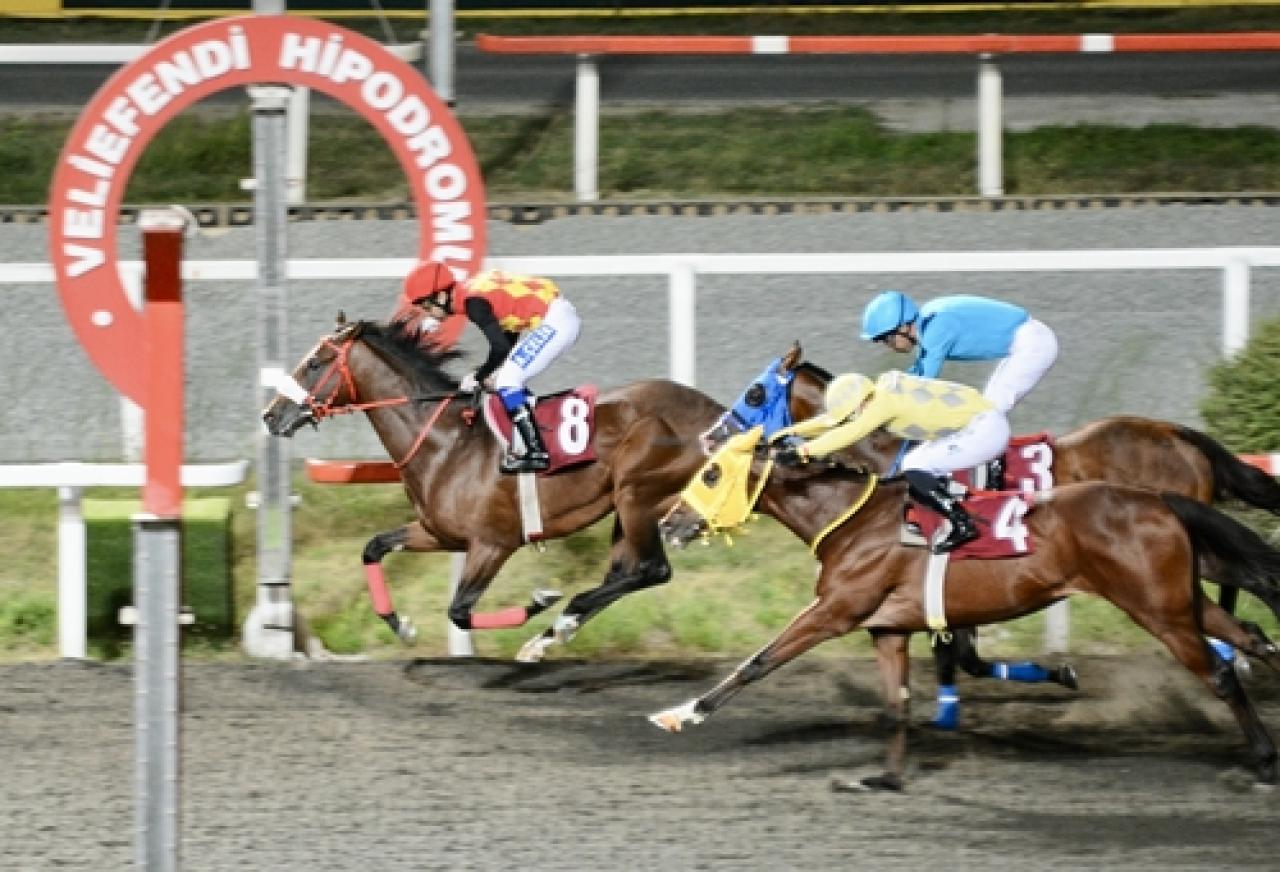 Yusuf Dikman Koşusu’nu Pitfall kazandı