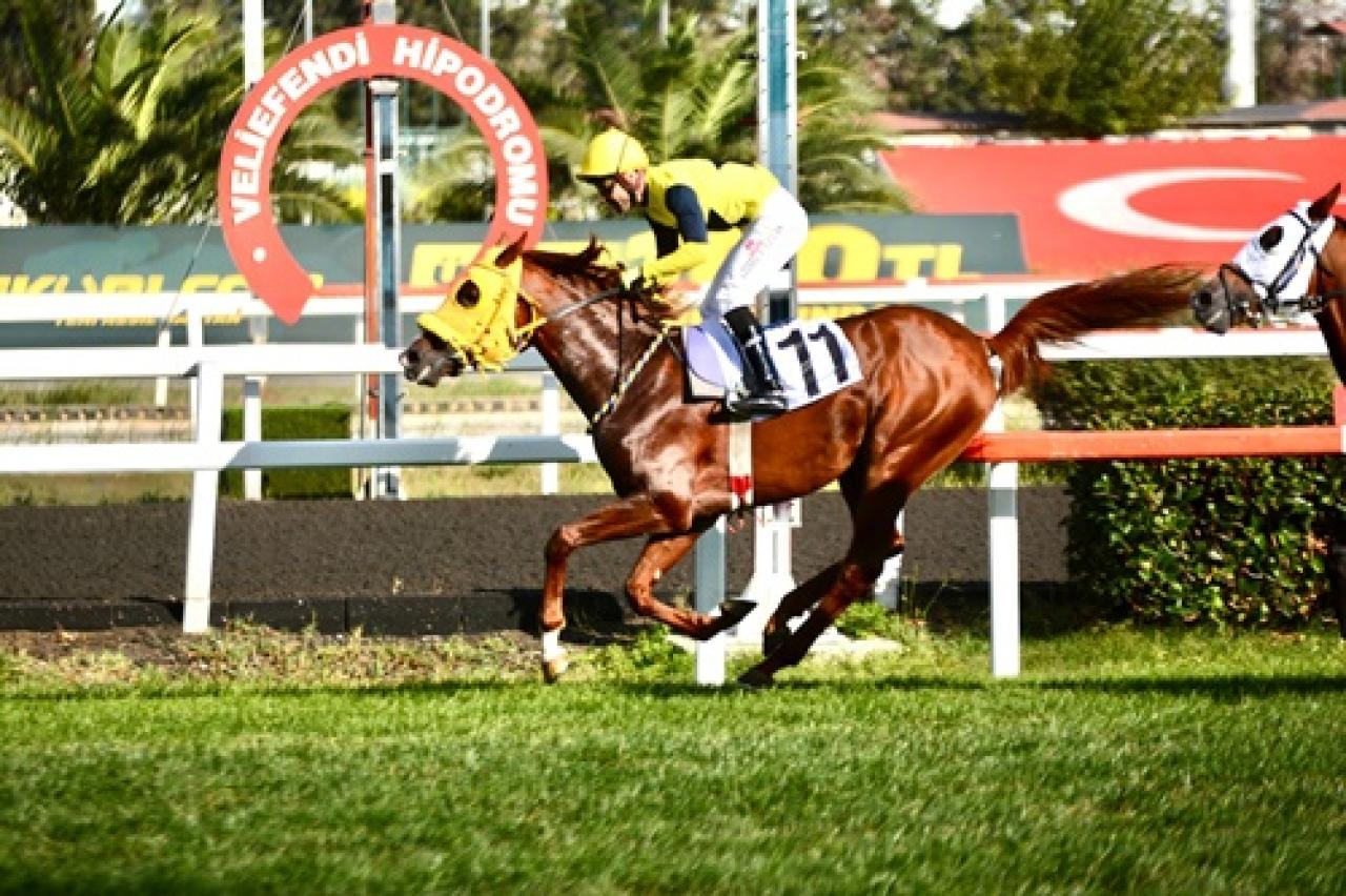 Veliefendi Koşusu’nda zafer Kahramanoğlu’nun oldu