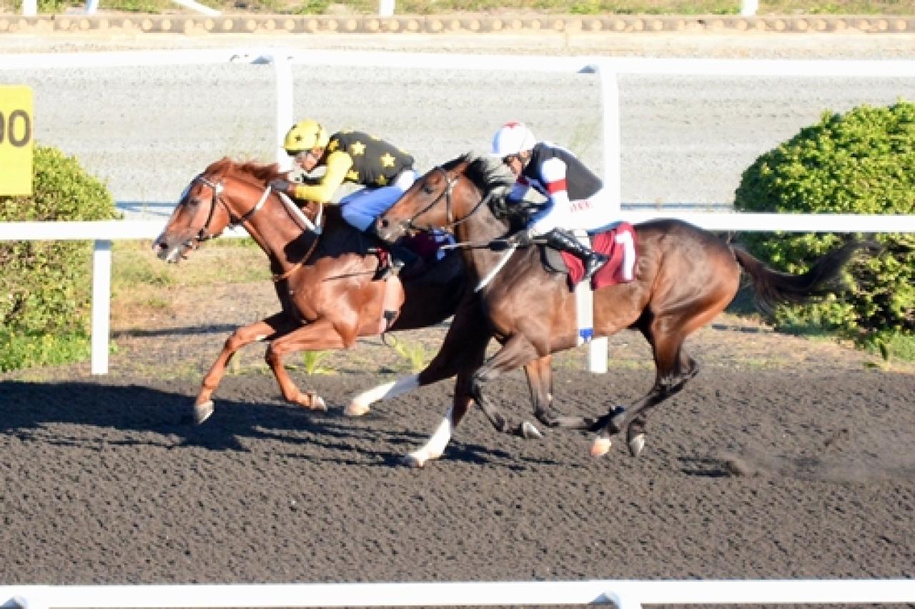 Bahadır Gödek Koşusu'nun galibi Poetry In Motion oldu