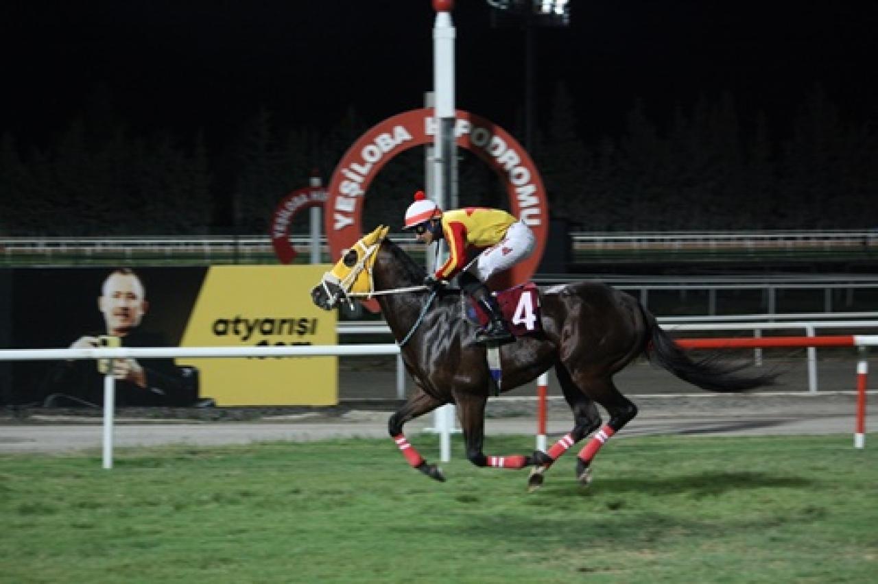 Konya Ereğli Belediye Başkanlığı Koşusu’nu Hearted kazandı